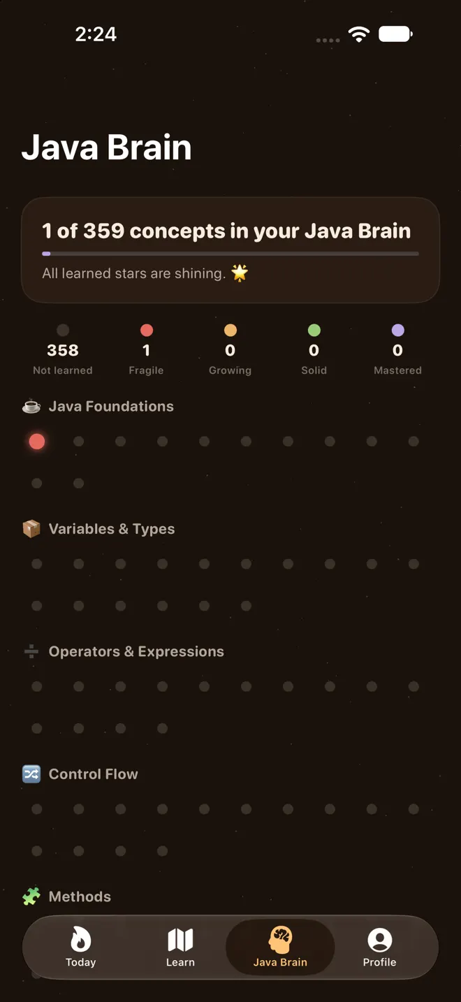 Brewlearn Java Brain map showing memory strength of every concept